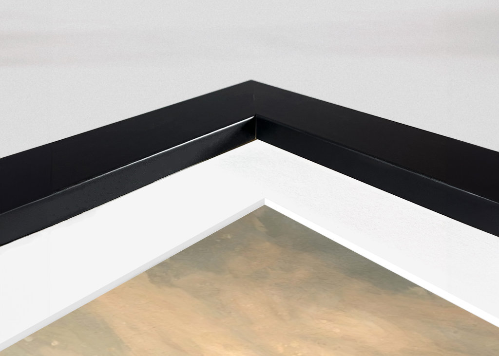 Sonfjälletova reflexe