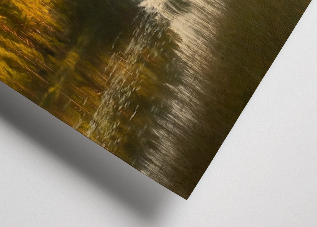 Sonfjälletova reflexe