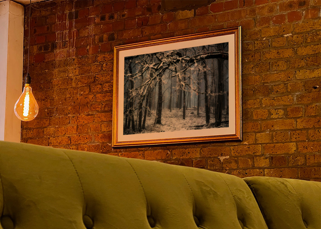 the dark Winter Forest