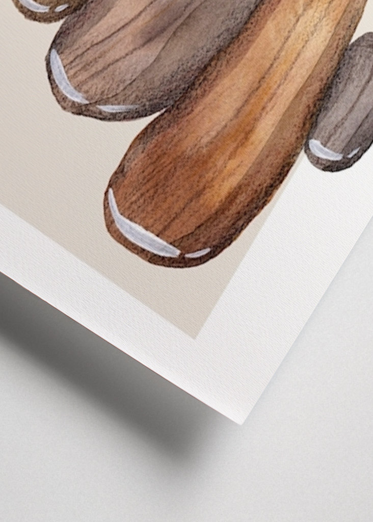 Balancing Sea Stones