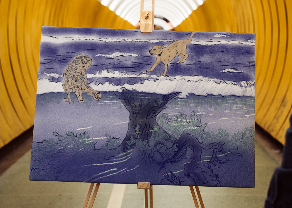 Rosa a Playa nad olivami