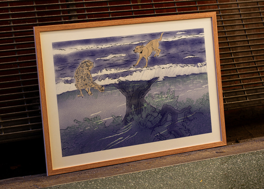 Rosa a Playa nad olivami