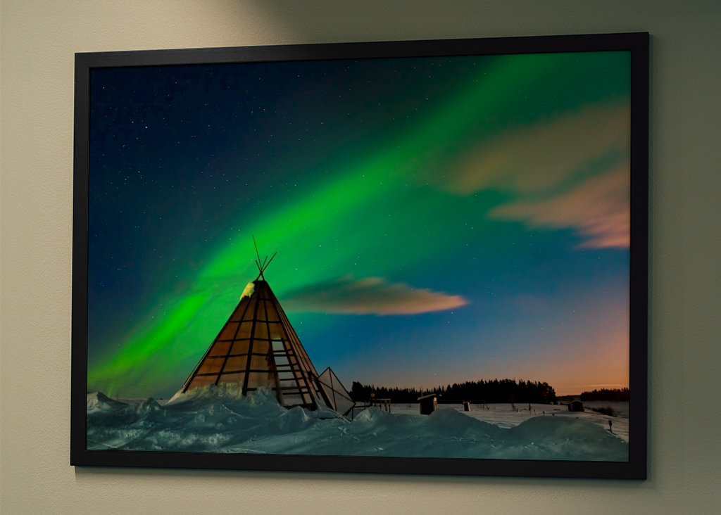 Samekåta i norrsken