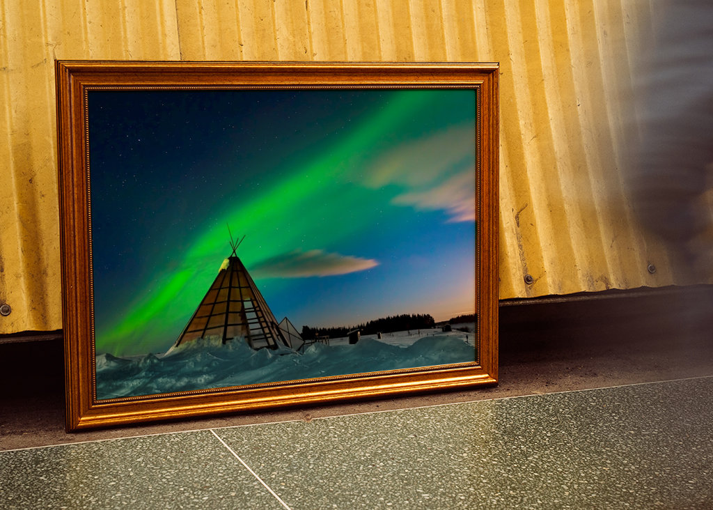 Samekåta i norrsken