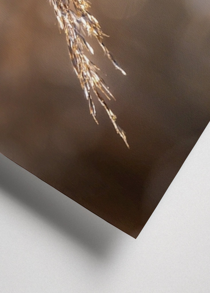 Vousatý na rákosí