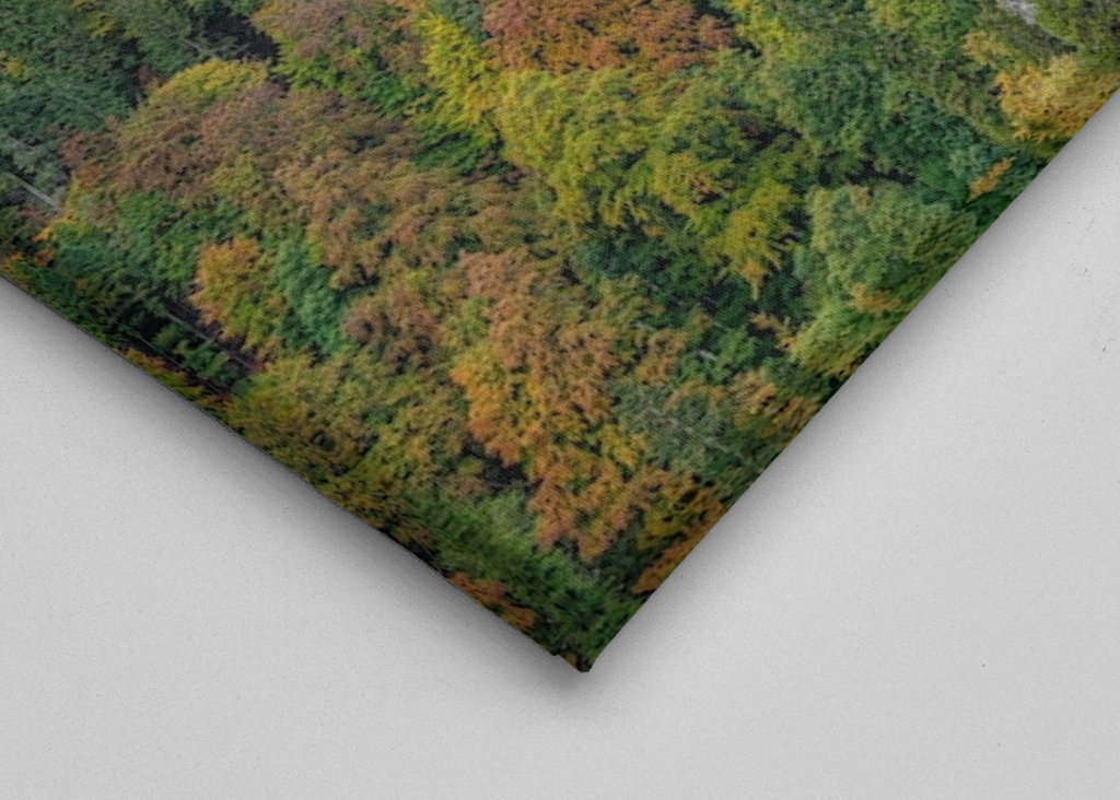 Kasteel Neuschwanstein