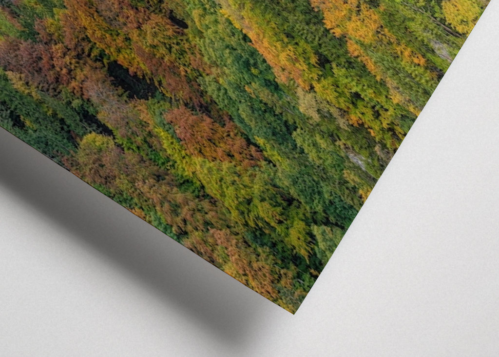 Kasteel Neuschwanstein