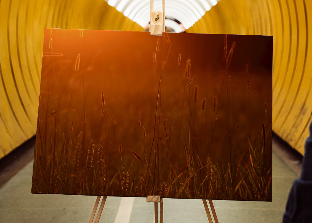 Pole při východu slunce