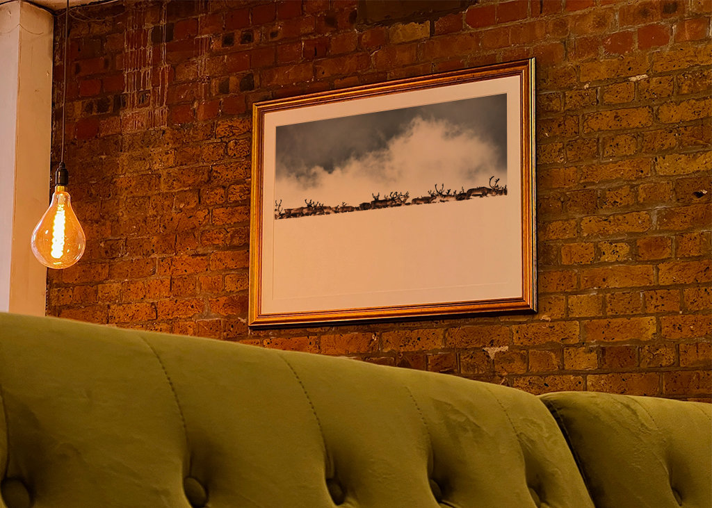 Rentiere hinter dem Schneerücken