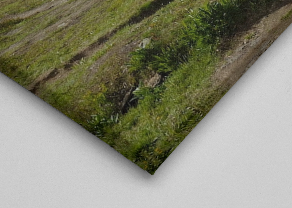 Koulitisjaure, Schweden