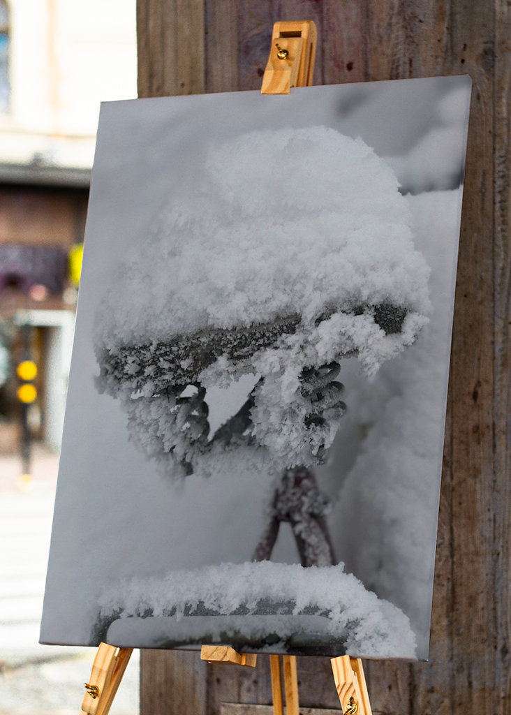 Sela fria na Suécia