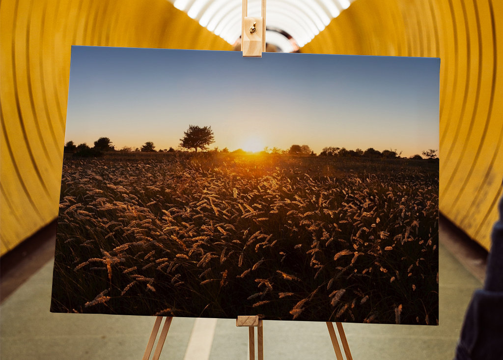 Západ slunce nad travnatým polem