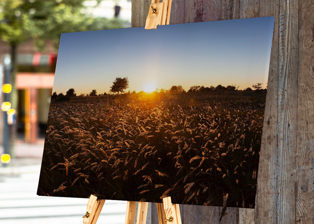 Západ slunce nad travnatým polem