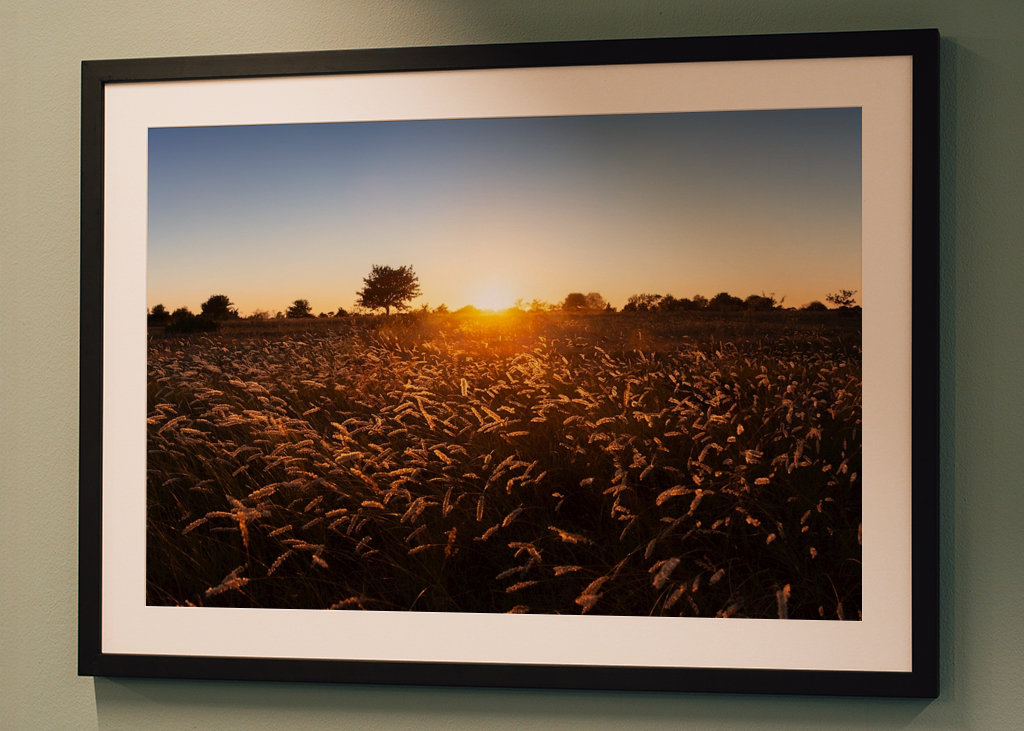 Západ slunce nad travnatým polem