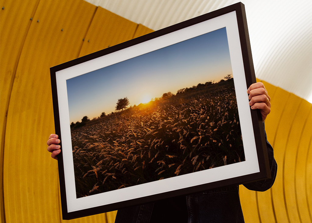 Západ slunce nad travnatým polem
