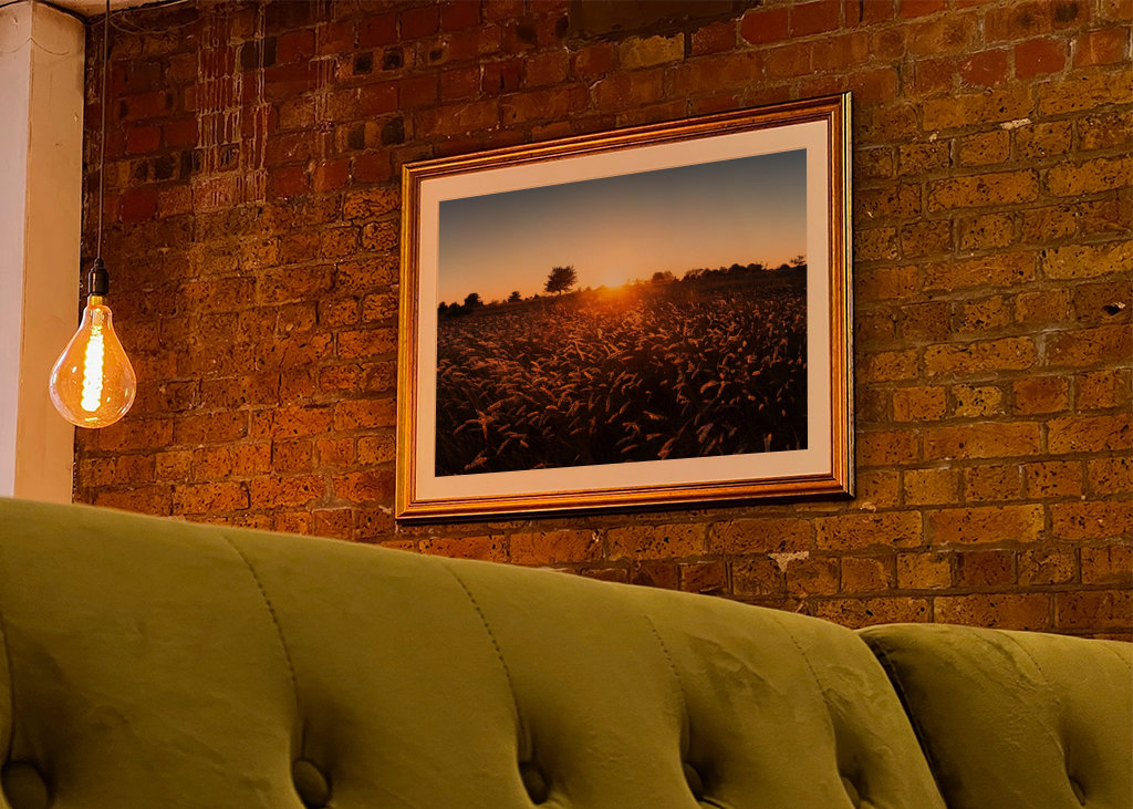 Západ slunce nad travnatým polem