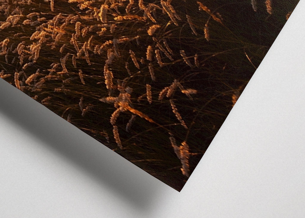 Západ slunce nad travnatým polem