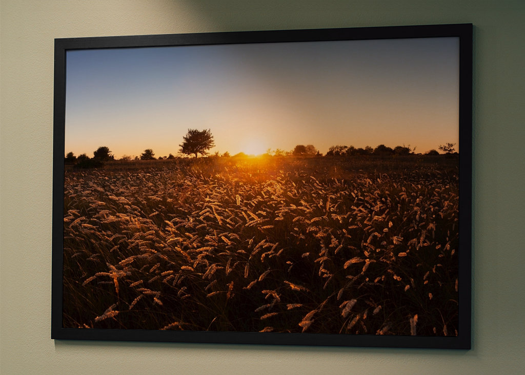 Západ slunce nad travnatým polem