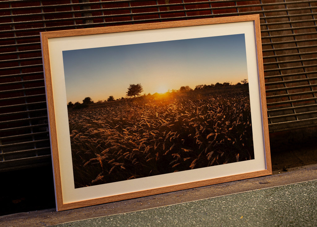 Západ slunce nad travnatým polem