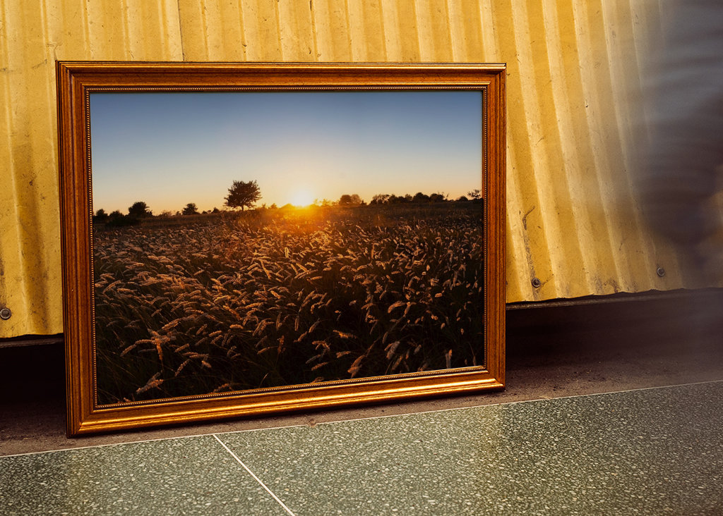 Západ slunce nad travnatým polem