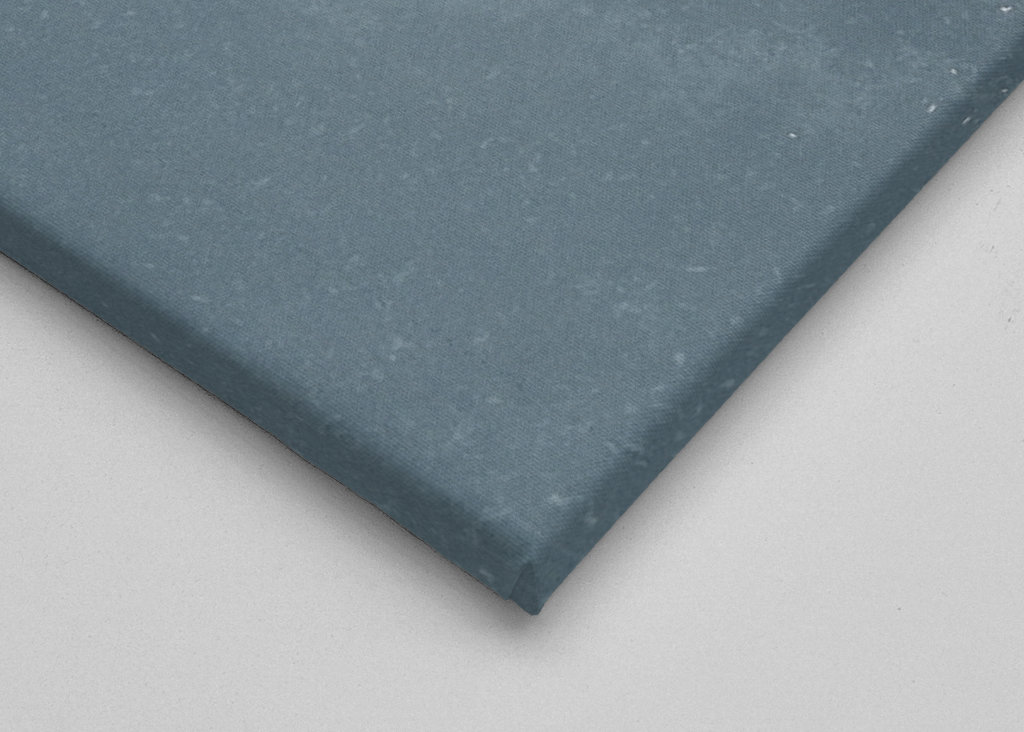 Voda se setkává s lesem