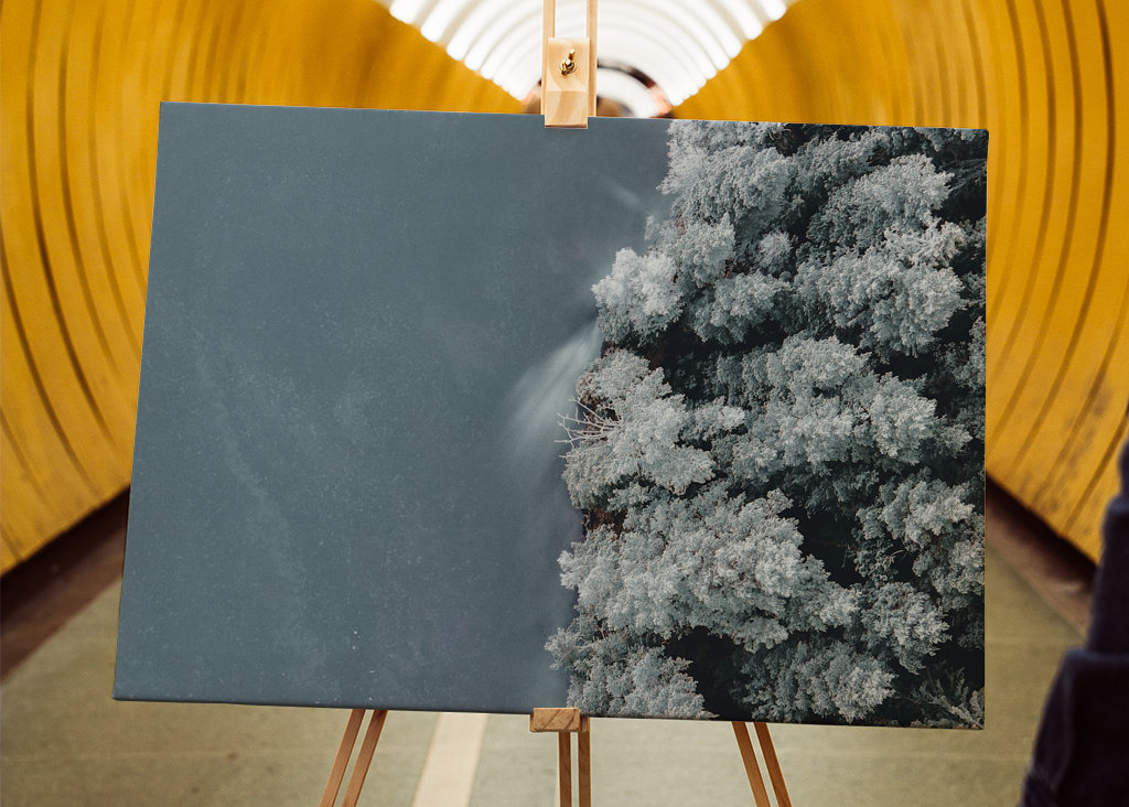 Voda se setkává s lesem