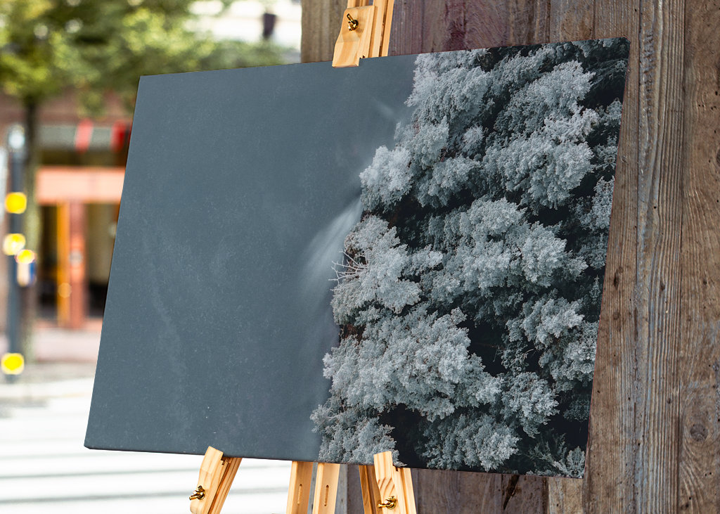 Voda se setkává s lesem