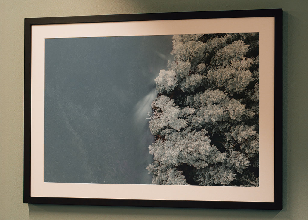 Voda se setkává s lesem