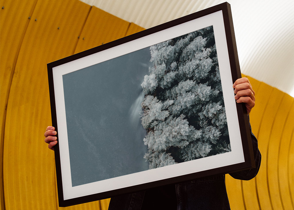 Voda se setkává s lesem