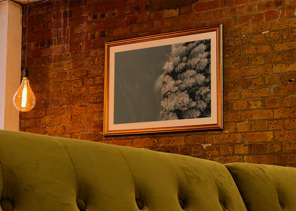 Voda se setkává s lesem