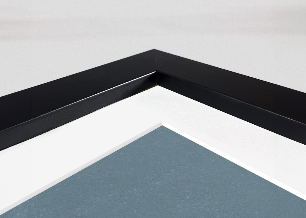 Voda se setkává s lesem