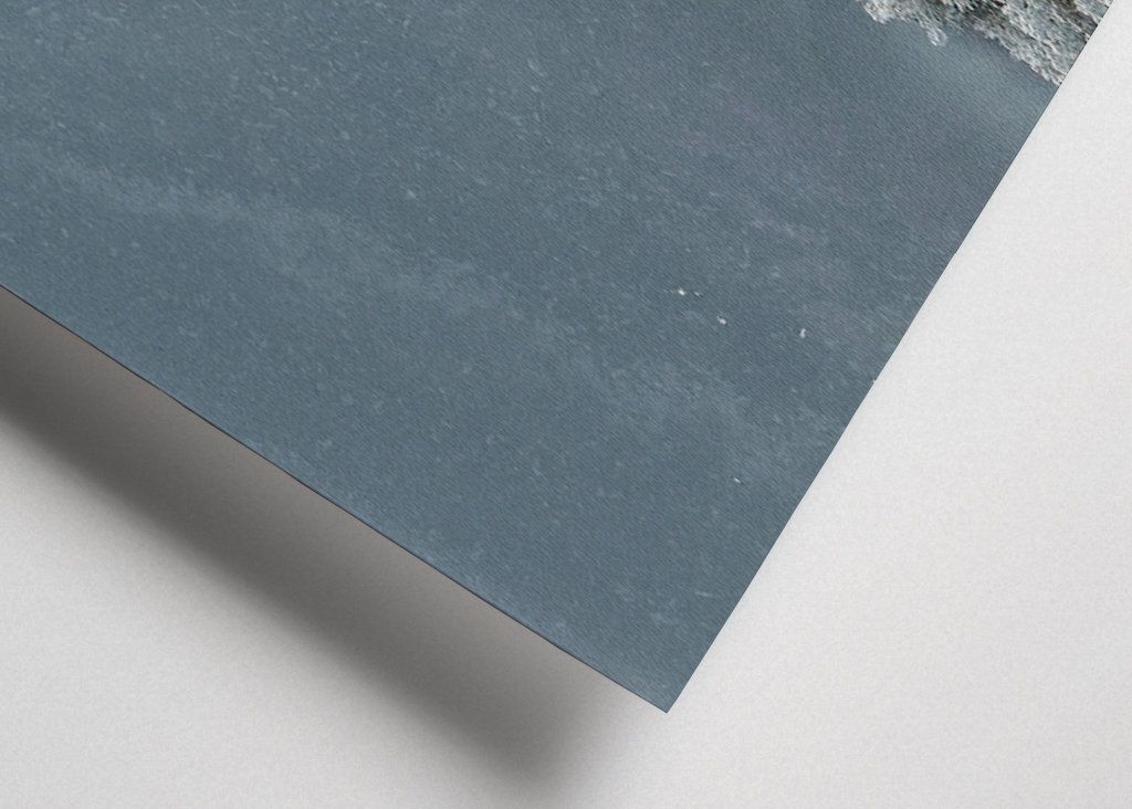 Voda se setkává s lesem