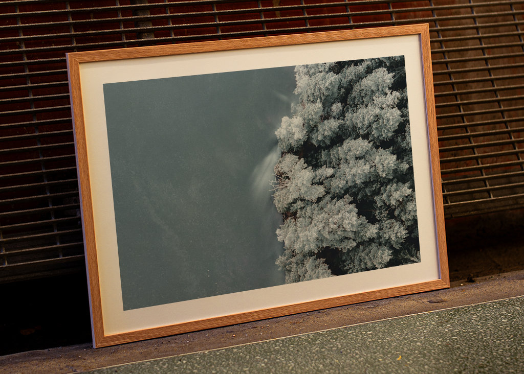 Voda se setkává s lesem