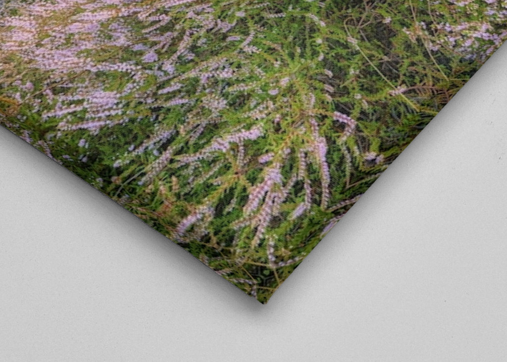 Heidelandschaft im Nebel 