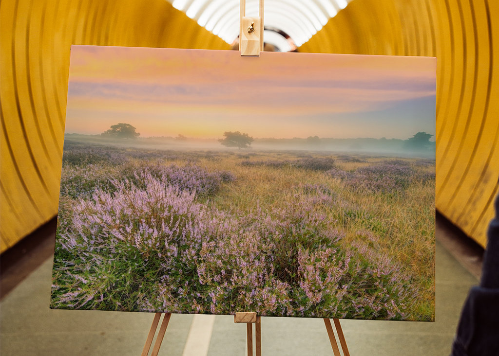 Heidelandschaft im Nebel 