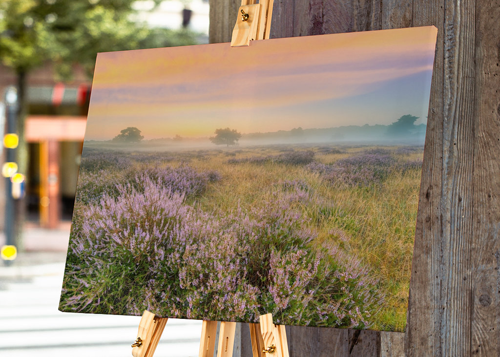 Heidelandschaft im Nebel 