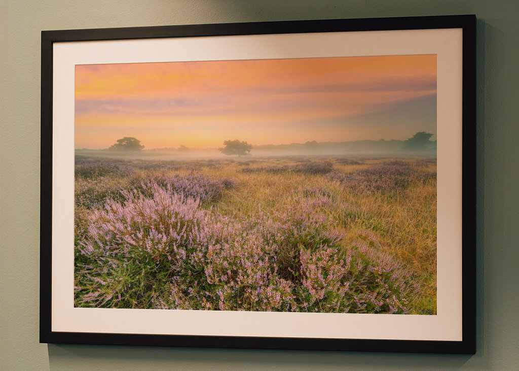 Heidelandschaft im Nebel 
