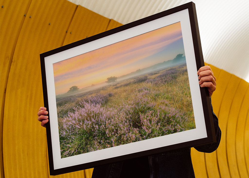 Heidelandschaft im Nebel 