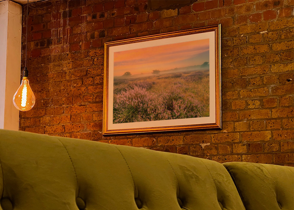 Heidelandschaft im Nebel 