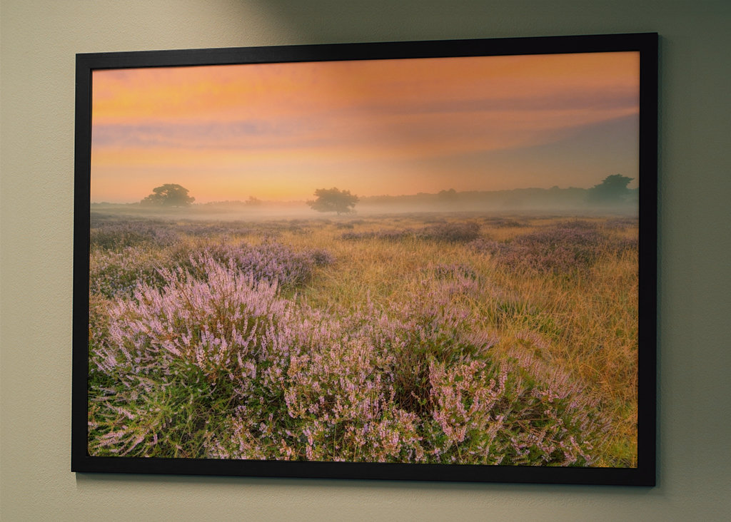 Heidelandschaft im Nebel 