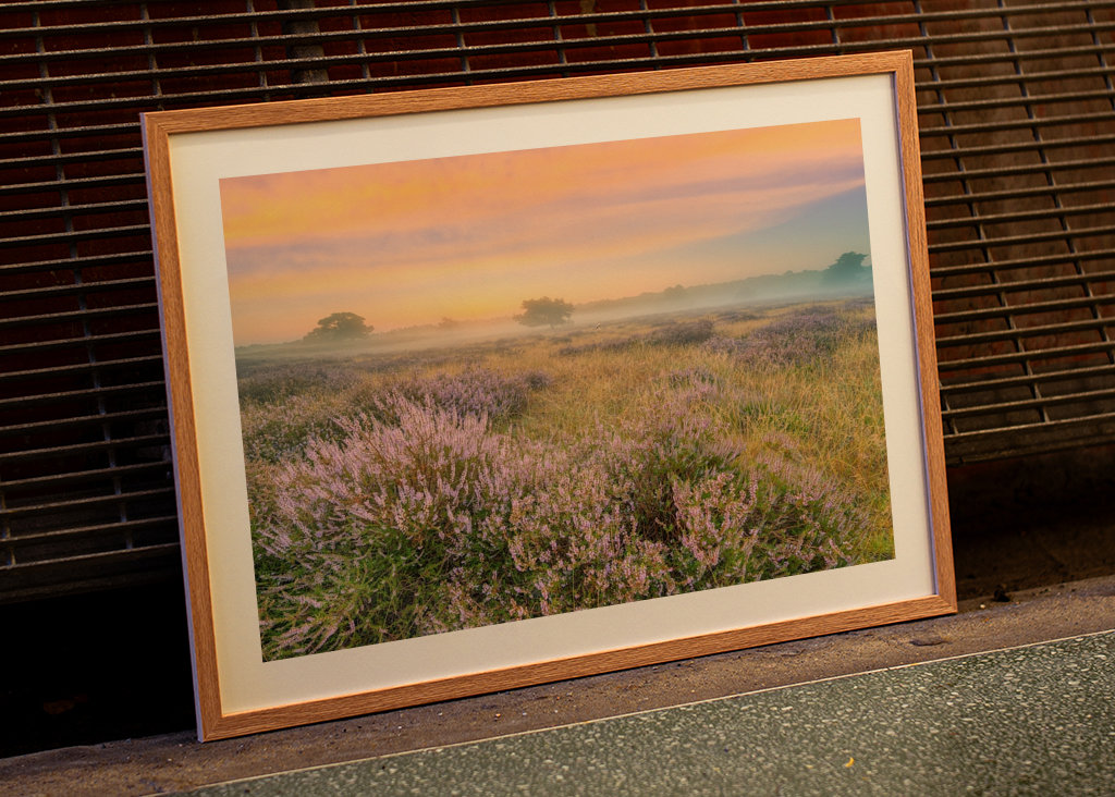 Heidelandschaft im Nebel 