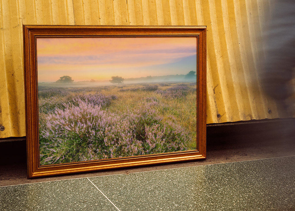 Heidelandschaft im Nebel 