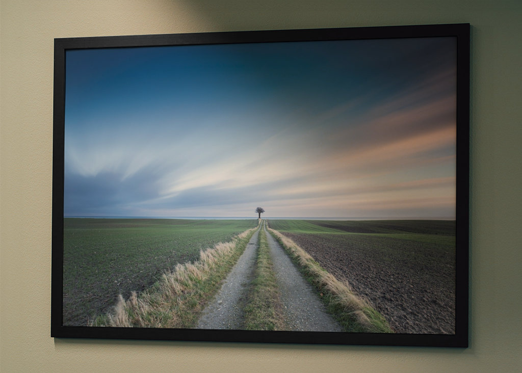 Osamelý strom na konci cesty