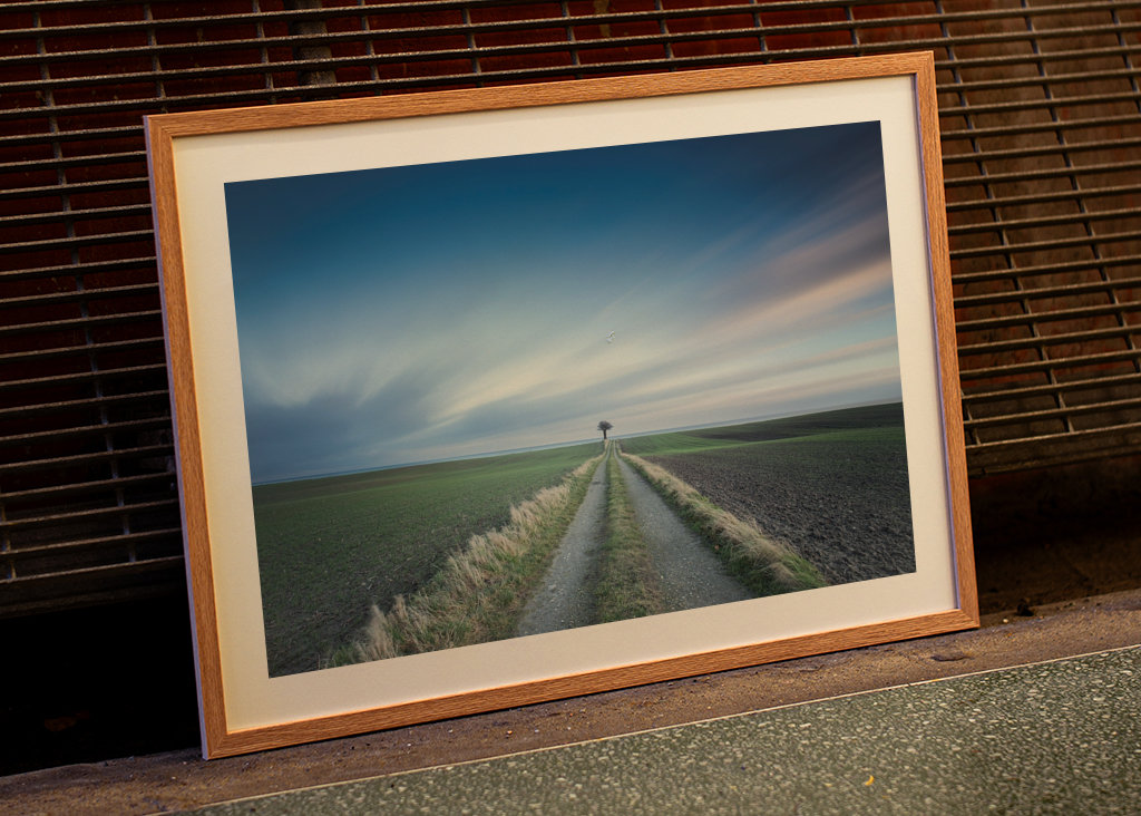 Osamelý strom na konci cesty