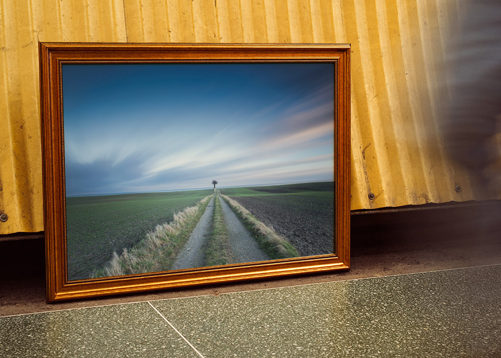 Osamelý strom na konci cesty