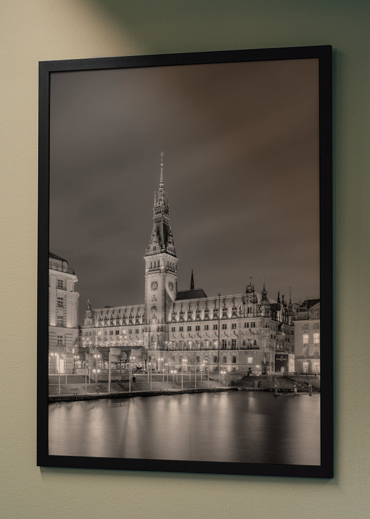 Hamburg City Hall