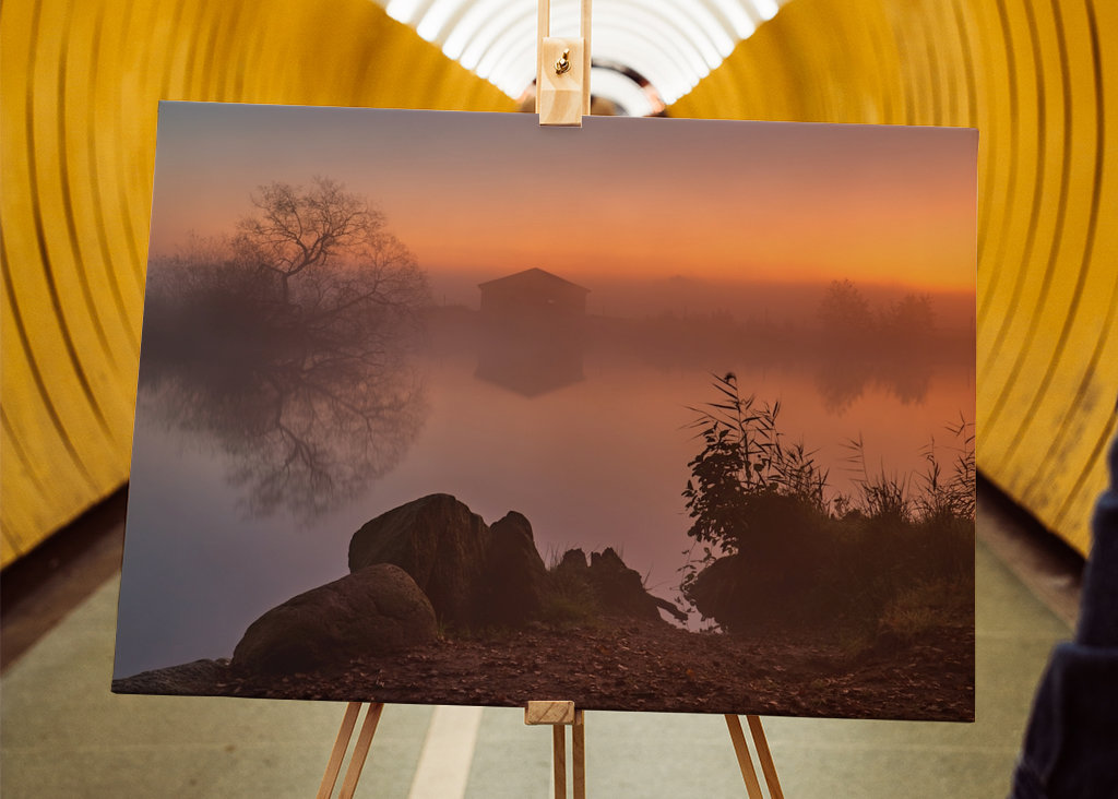 Fischteich im Morgennebel