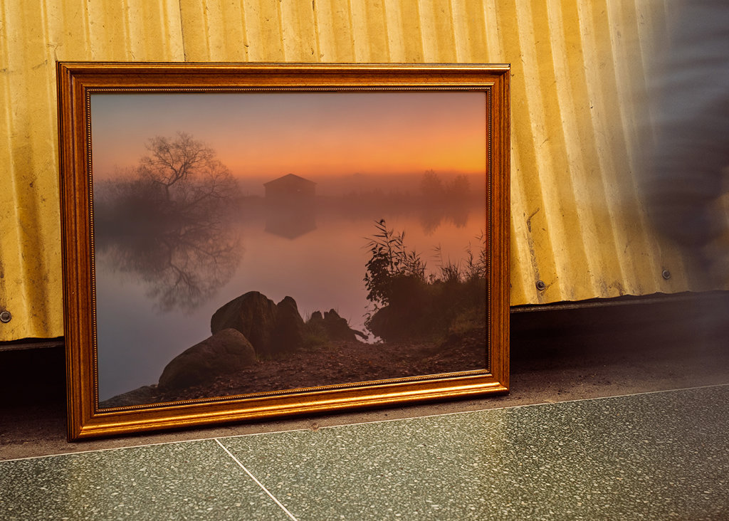 Fischteich im Morgennebel