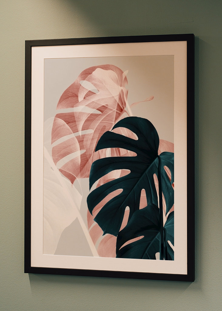 Monstera Creative 9