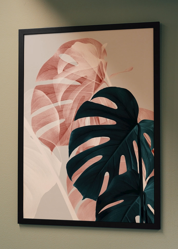 Monstera Creative 9